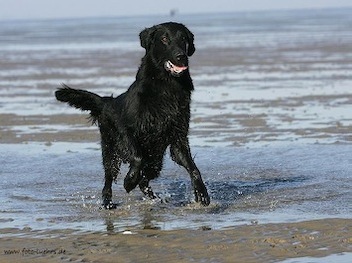 61612c99c686ec5effff806bac14422f